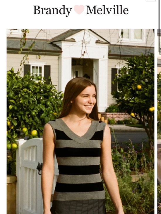 Brandy Melville Tops - Brandy Melville Amira Top- Gray & Black Striped V‑Neck Knit Tank
